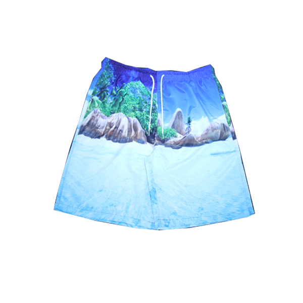 Men’s Printed Swim Shorts
